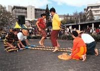 怀卡托大学国际日